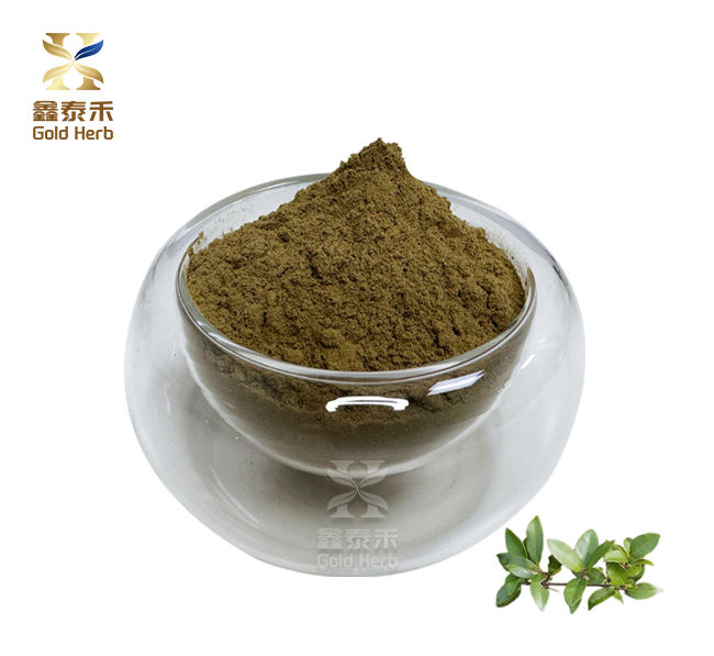 Gymnemic acid powder Gymnemic acid powder